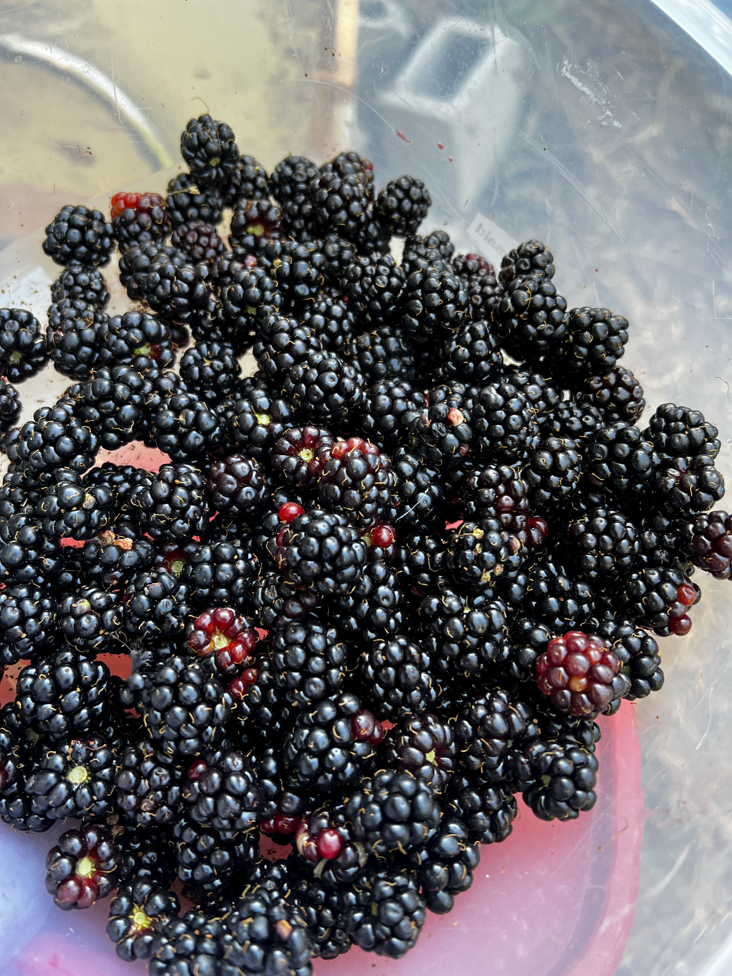 Pâte de Fruit