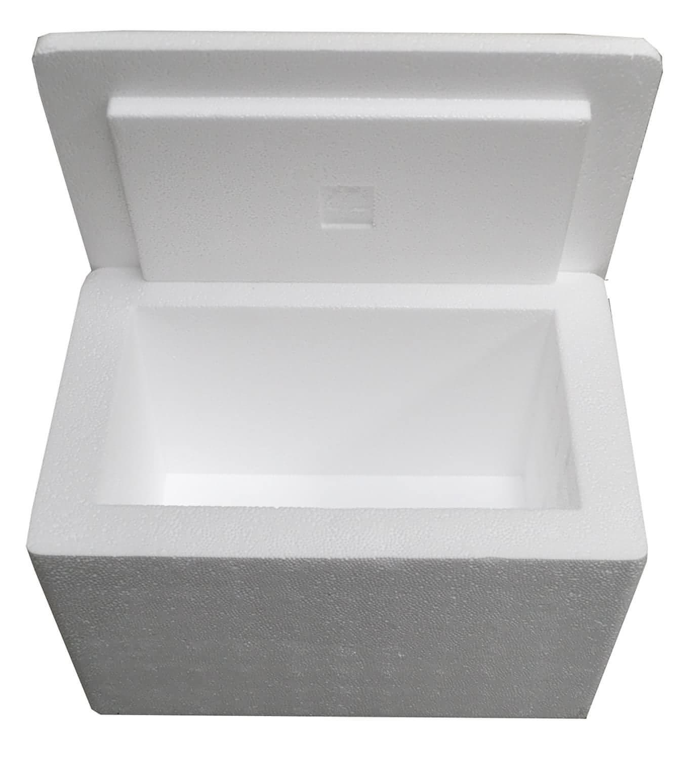 A white styrofoam cooler box, open and empty.