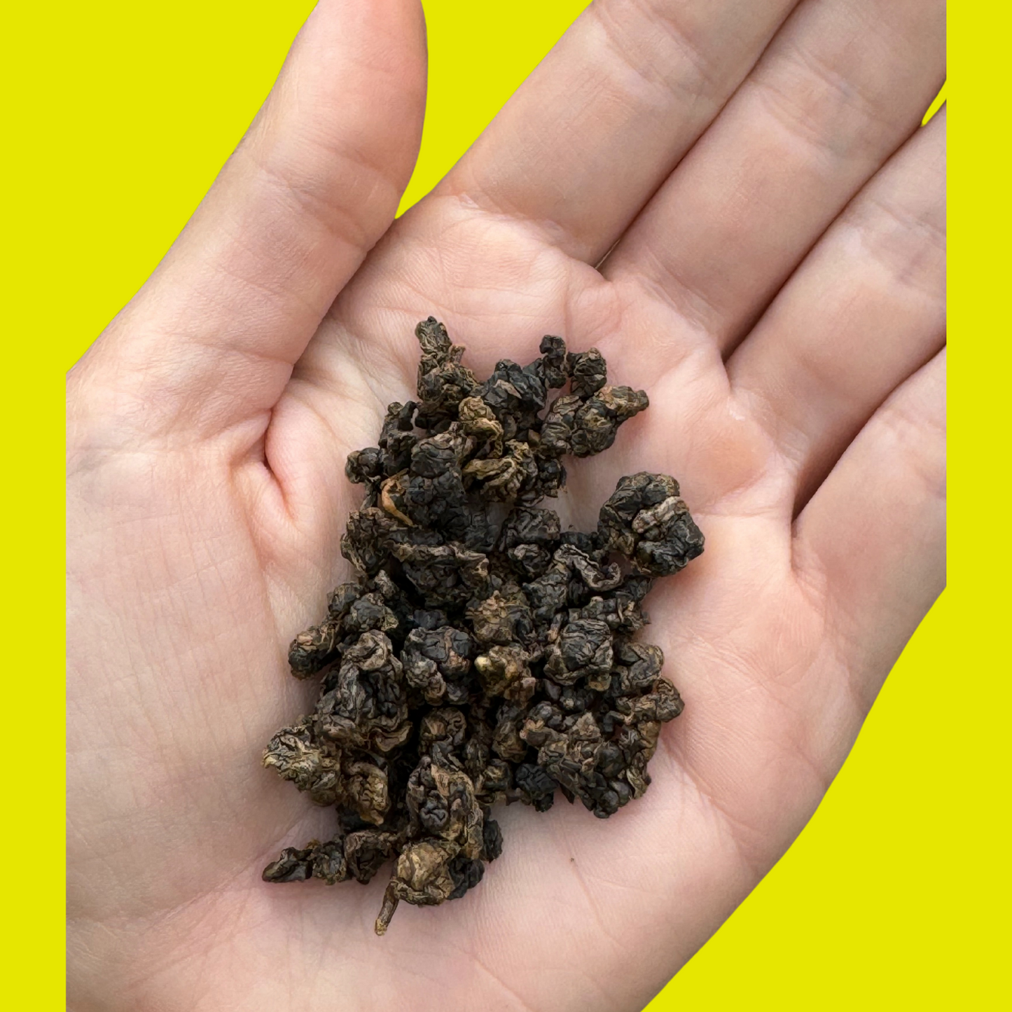A photo of the tea in a person's hand. 